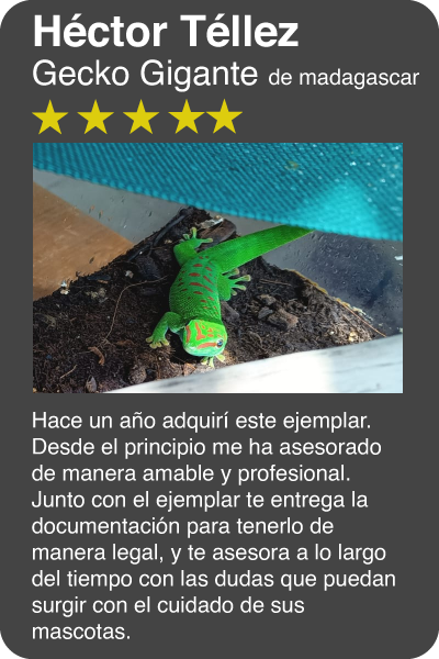 Hector-Tellez